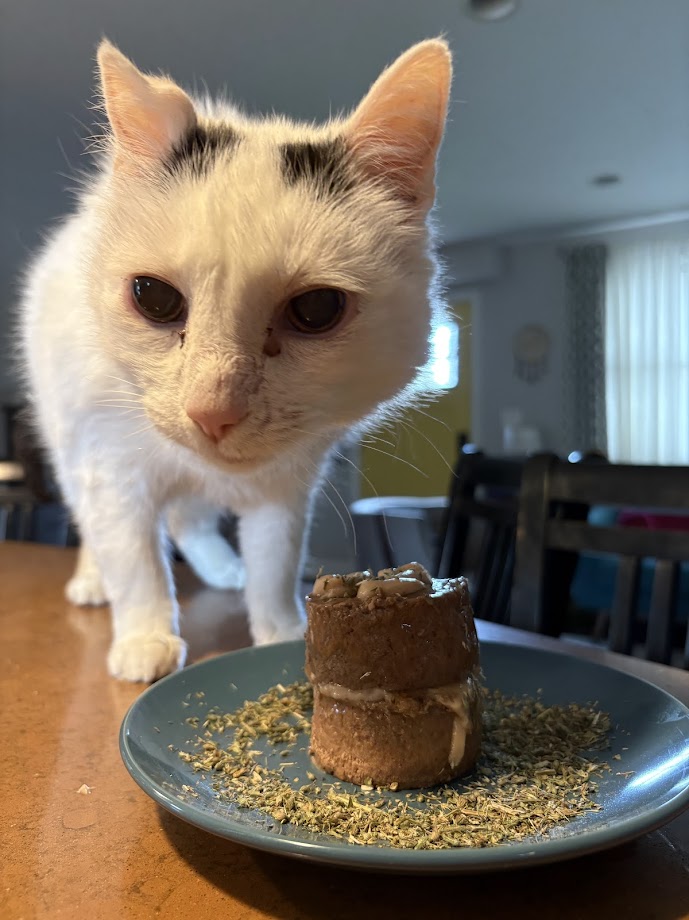 bodhi-birthday1.jpg
