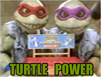 turtle-power.jpg
