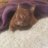 Bugbear
